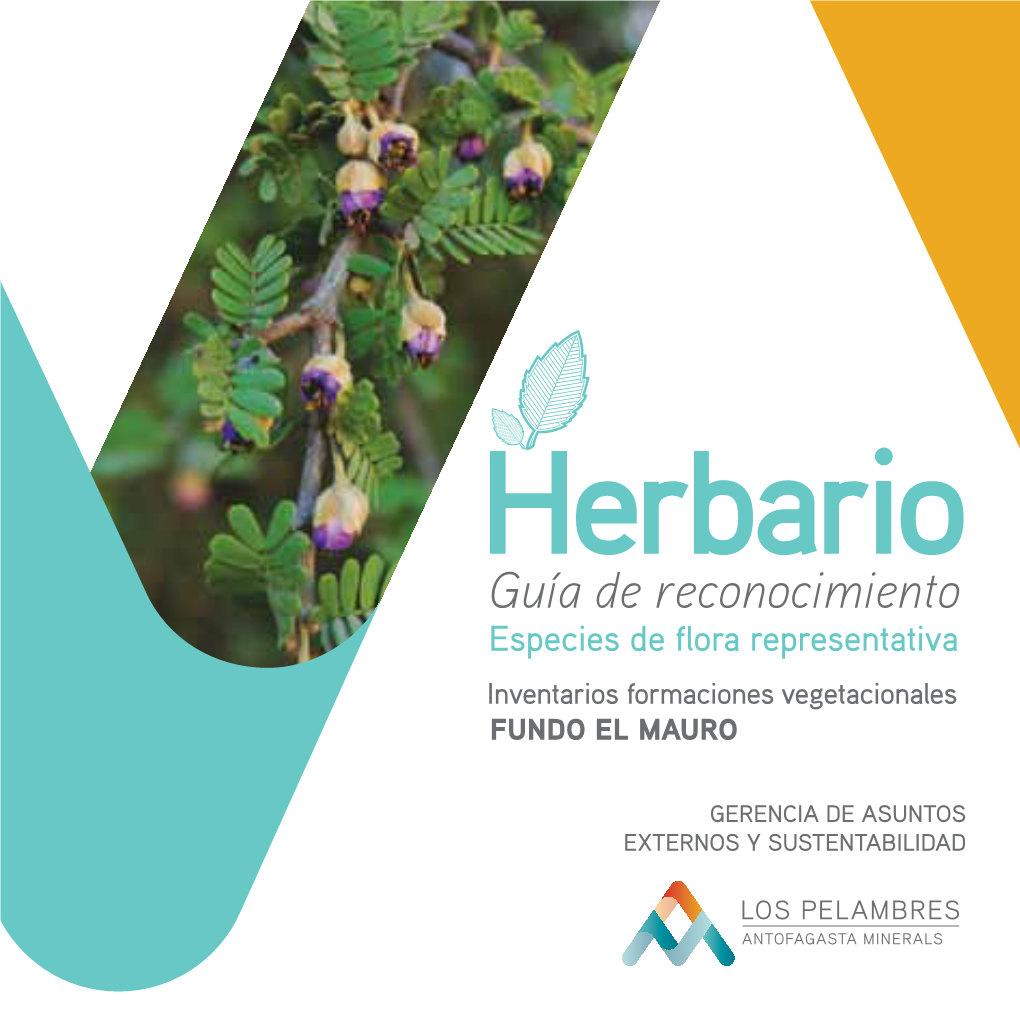 Herbario Guía De Reconocimiento Especies De Flora Representativa Inventarios Formaciones Vegetacionales Fundo El Mauro