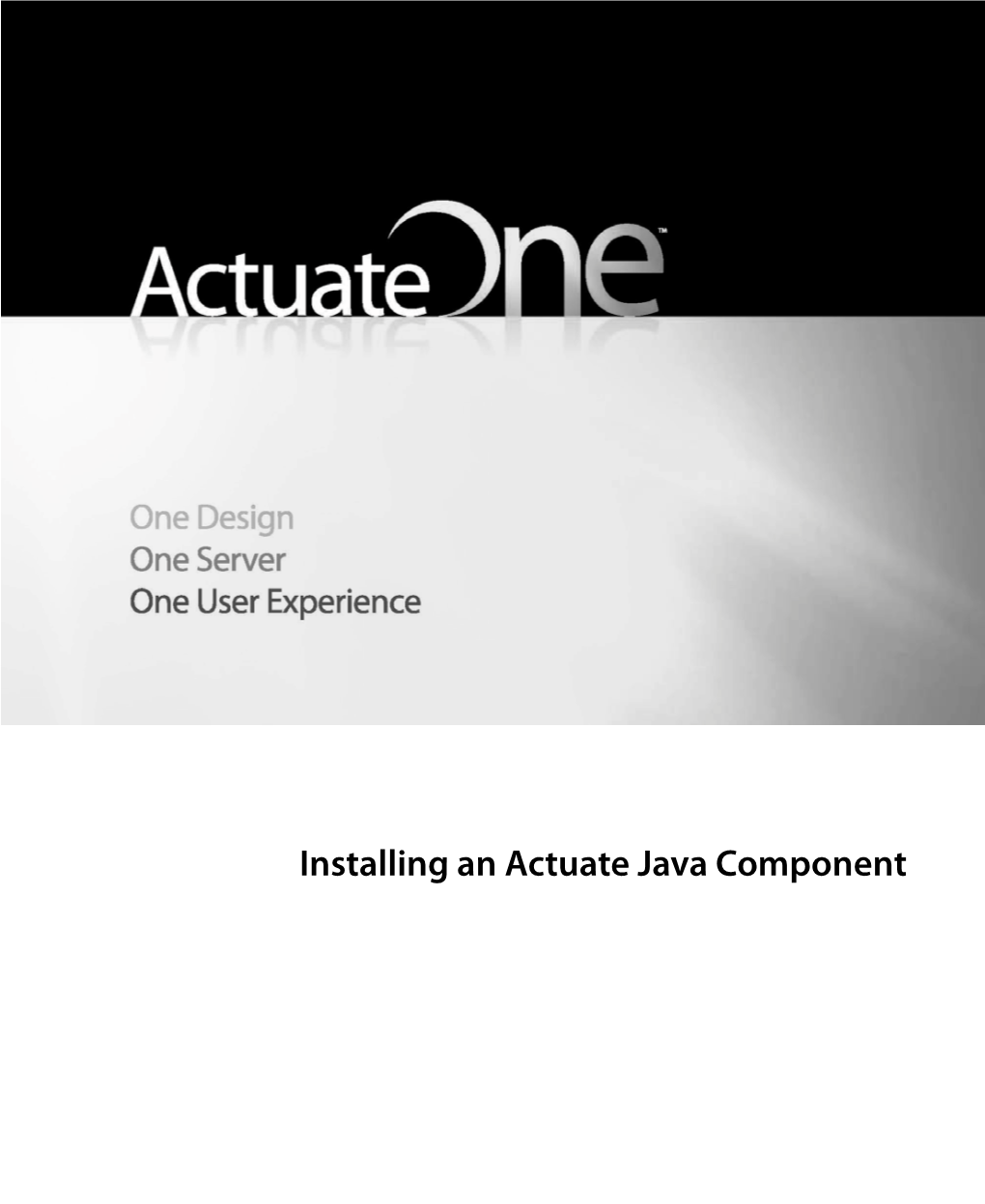 Installing an Actuate Java Component This Documentation Has Been Created for Software Version 11.0.5