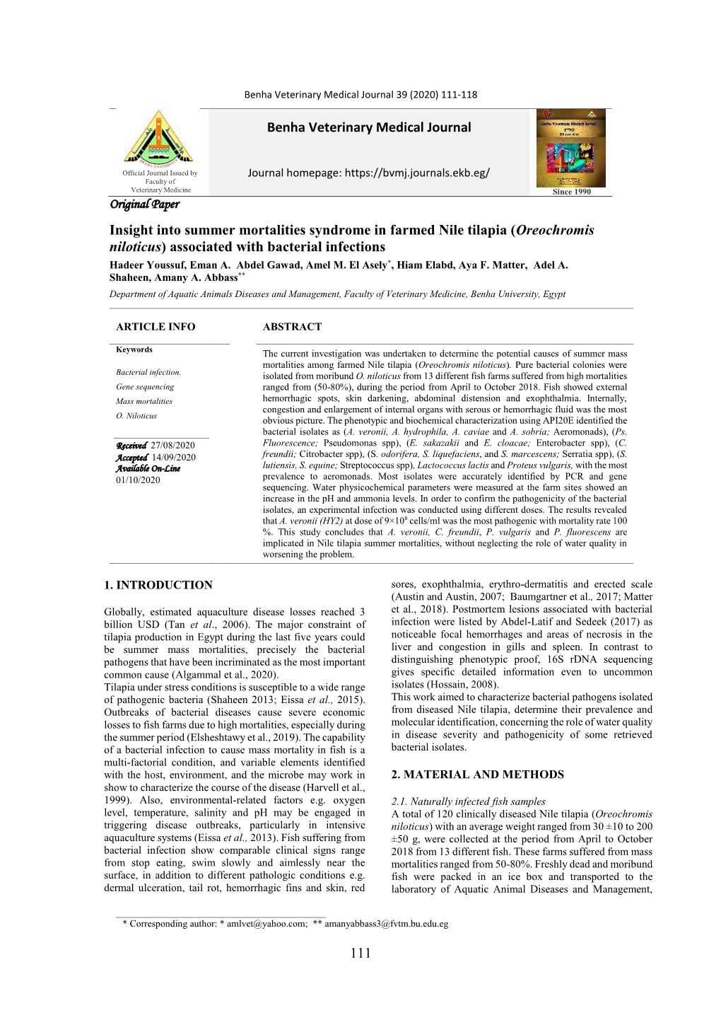 Oreochromis Niloticus) Associated with Bacterial Infections Hadeer Youssuf, Eman A