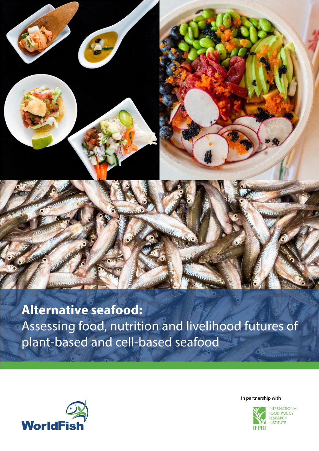 Alternative Seafood: in Partnership with Partnership In