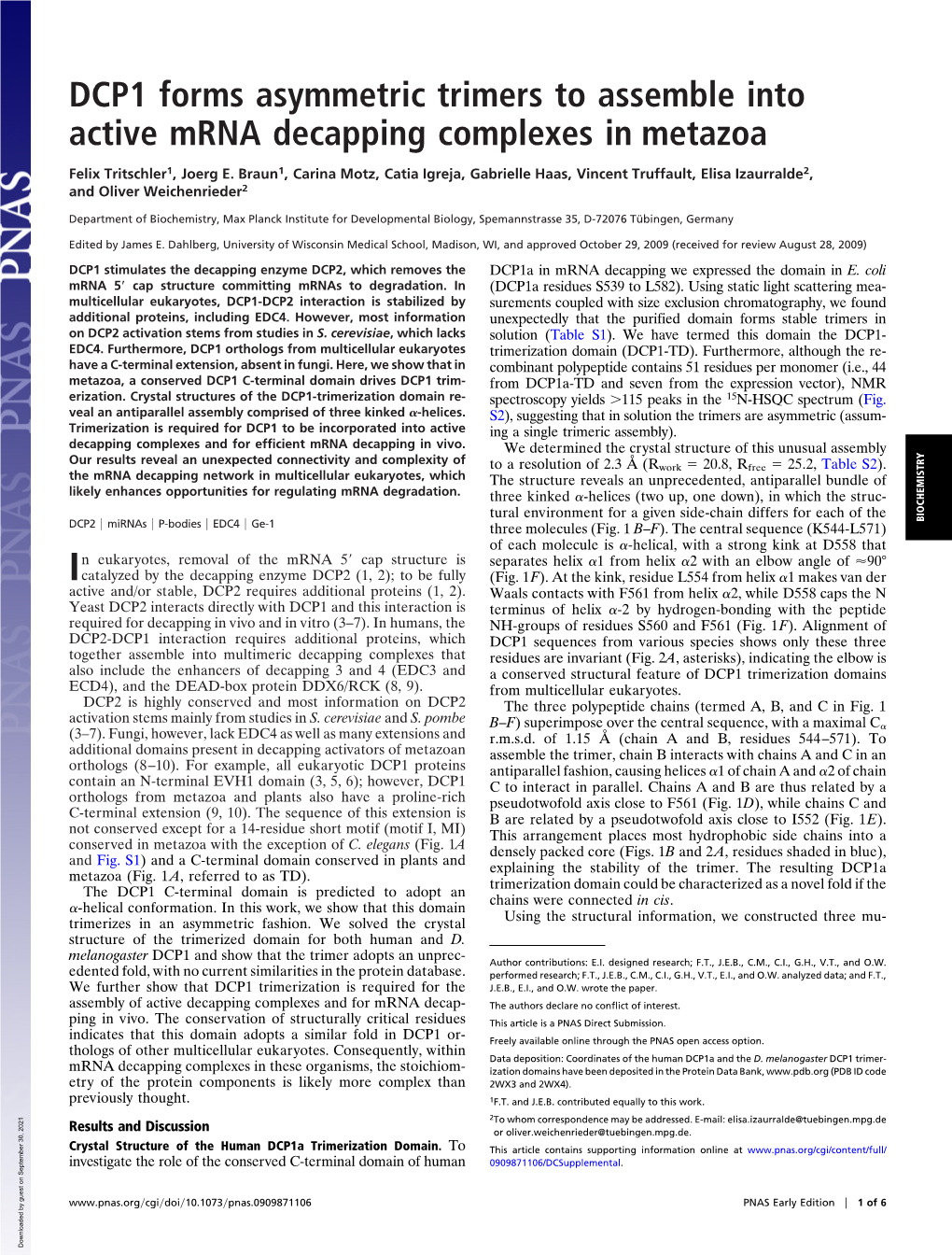 DCP1 Forms Asymmetric Trimers to Assemble Into Active Mrna Decapping Complexes in Metazoa