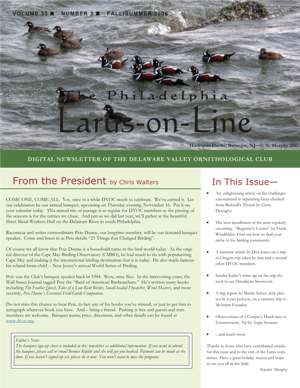 Larus-On-Line Harlequin Ducks, Barnegat, NJ—© N