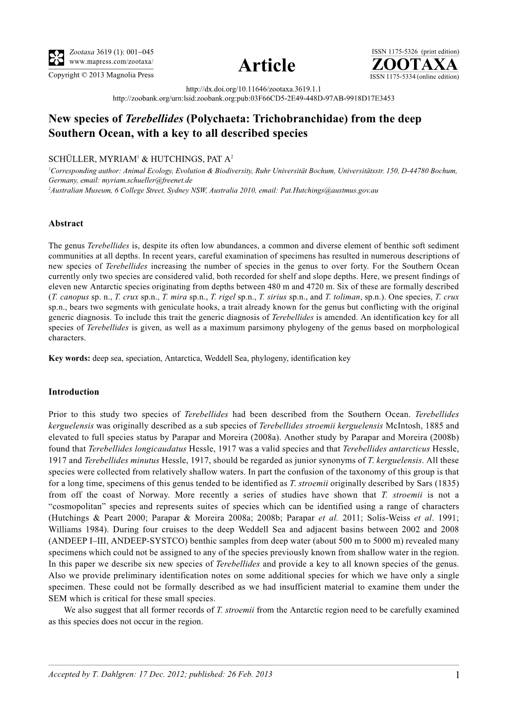 New Species of Terebellides (Polychaeta: Trichobranchidae) from the Deep Southern Ocean, with a Key to All Described Species