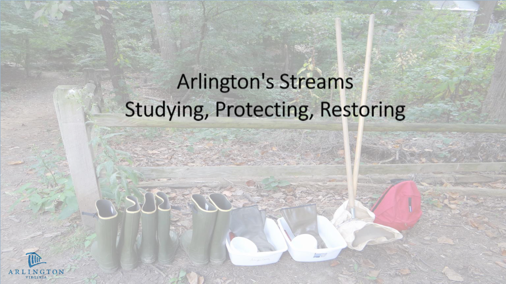 State of Streams in Arlington County