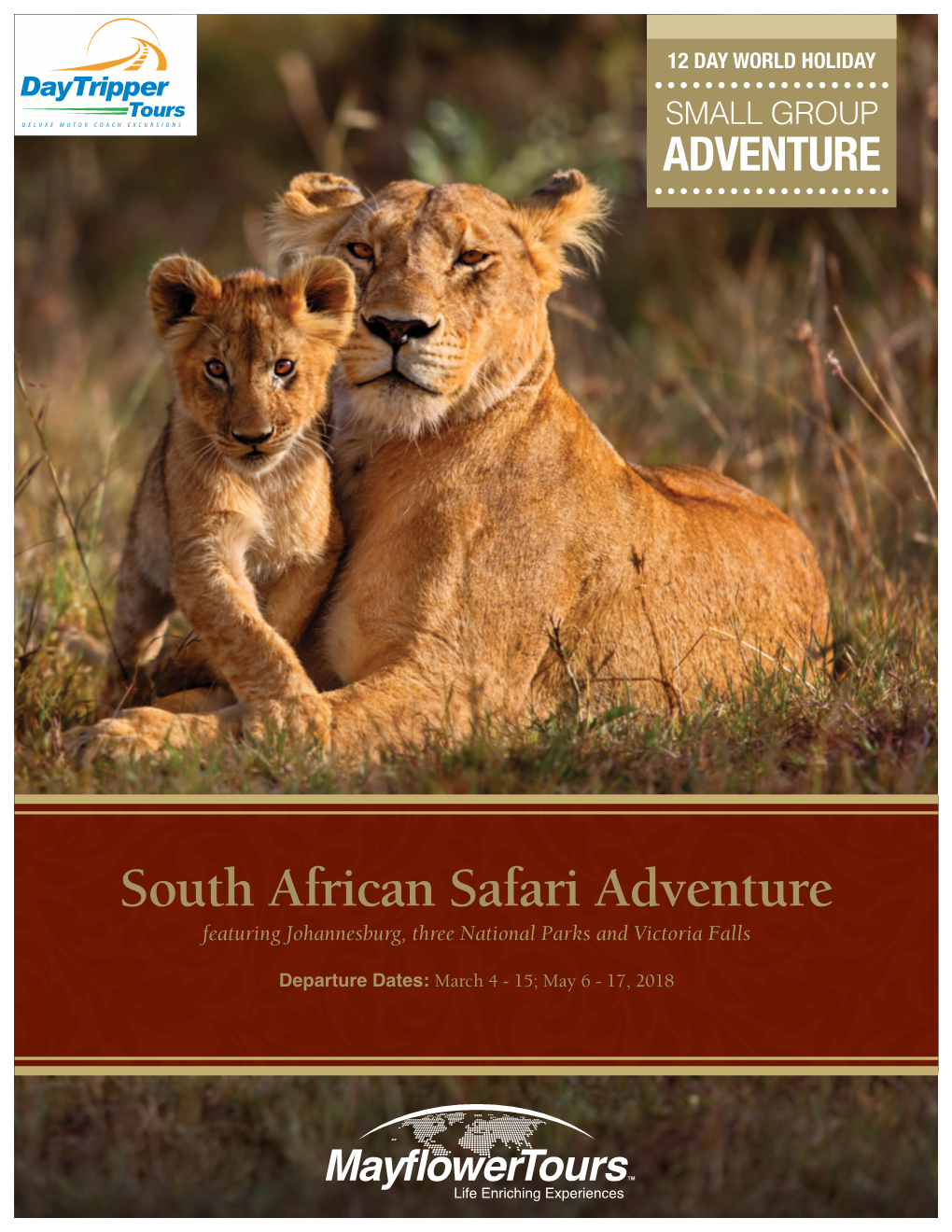 South African Safari Adventure