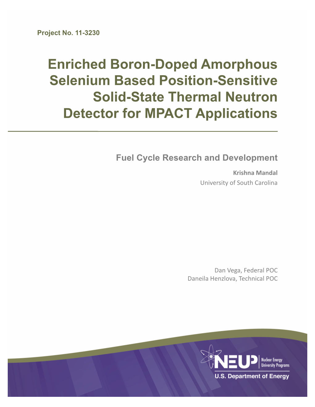 Solid State Thermal Neutron Detectors Based on Boron-Doped