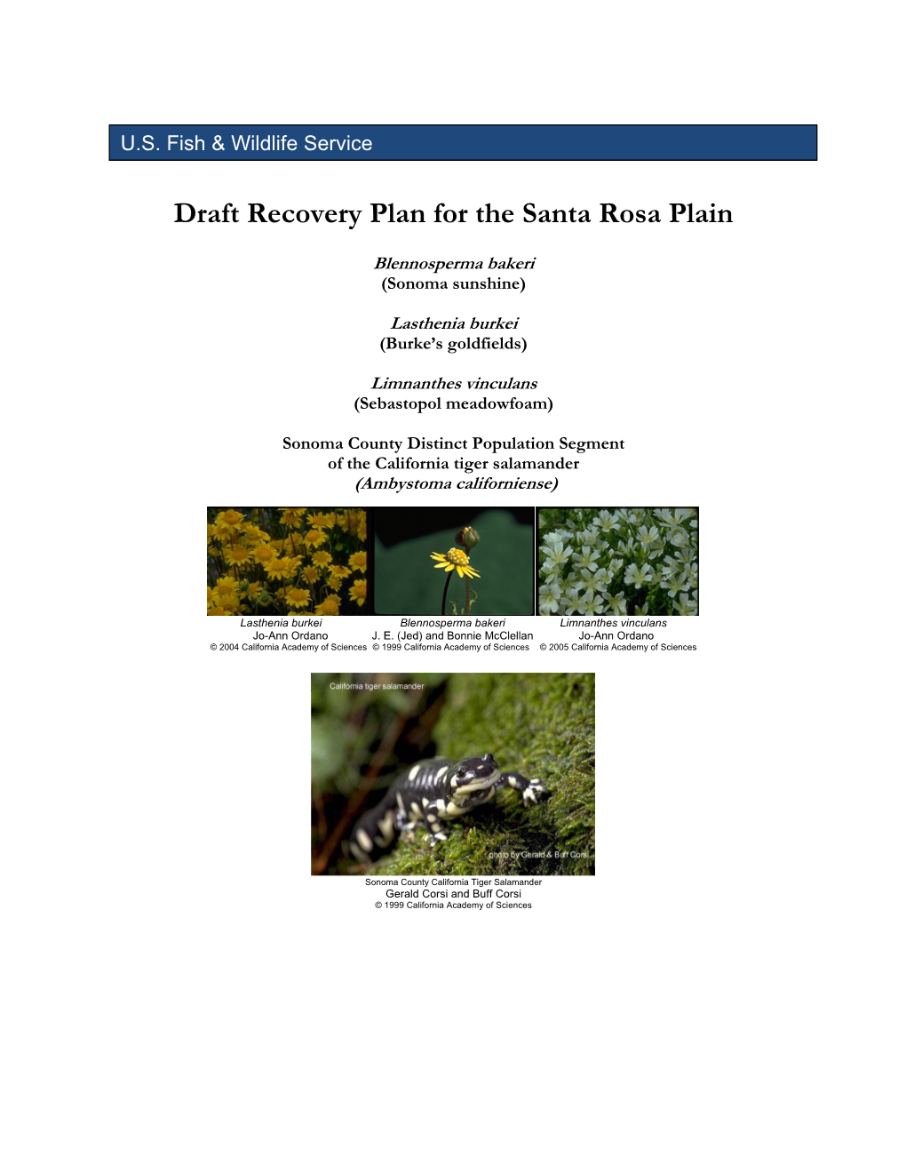 Draft Recovery Plan for the Santa Rosa Plain