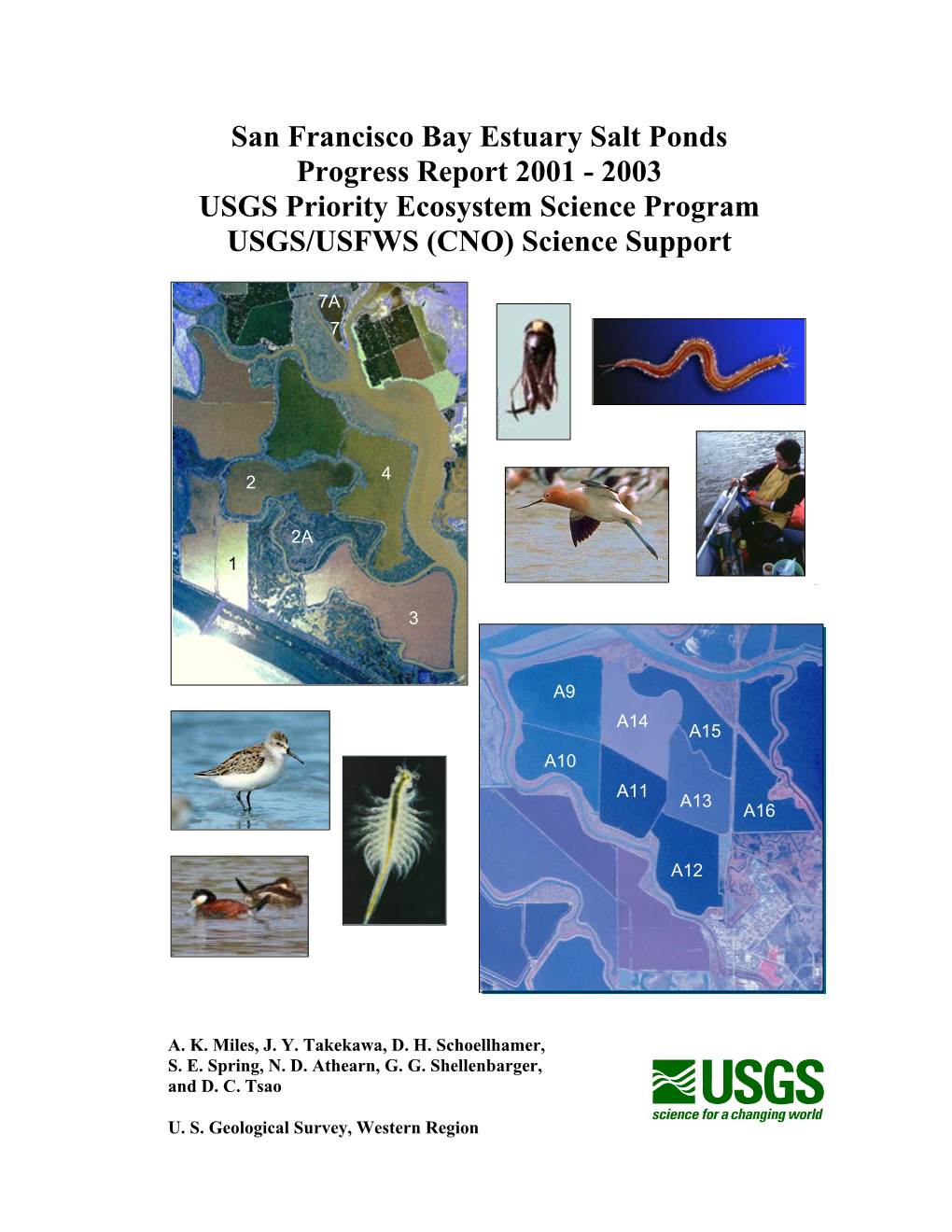 San Francisco Bay Estuary Salt Ponds Progress Report 2001 - 2003 USGS Priority Ecosystem Science Program USGS/USFWS (CNO) Science Support