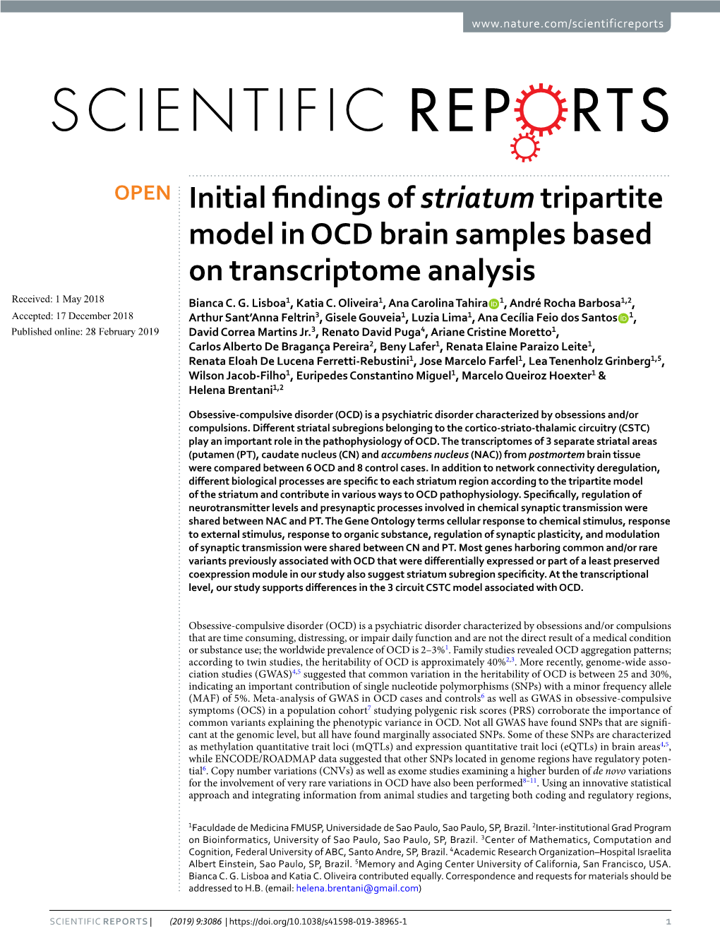 Initial Findings of Striatum Tripartite Model in OCD Brain Samples Based