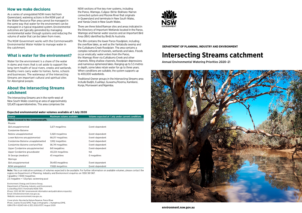Intersecting Streams Catchment