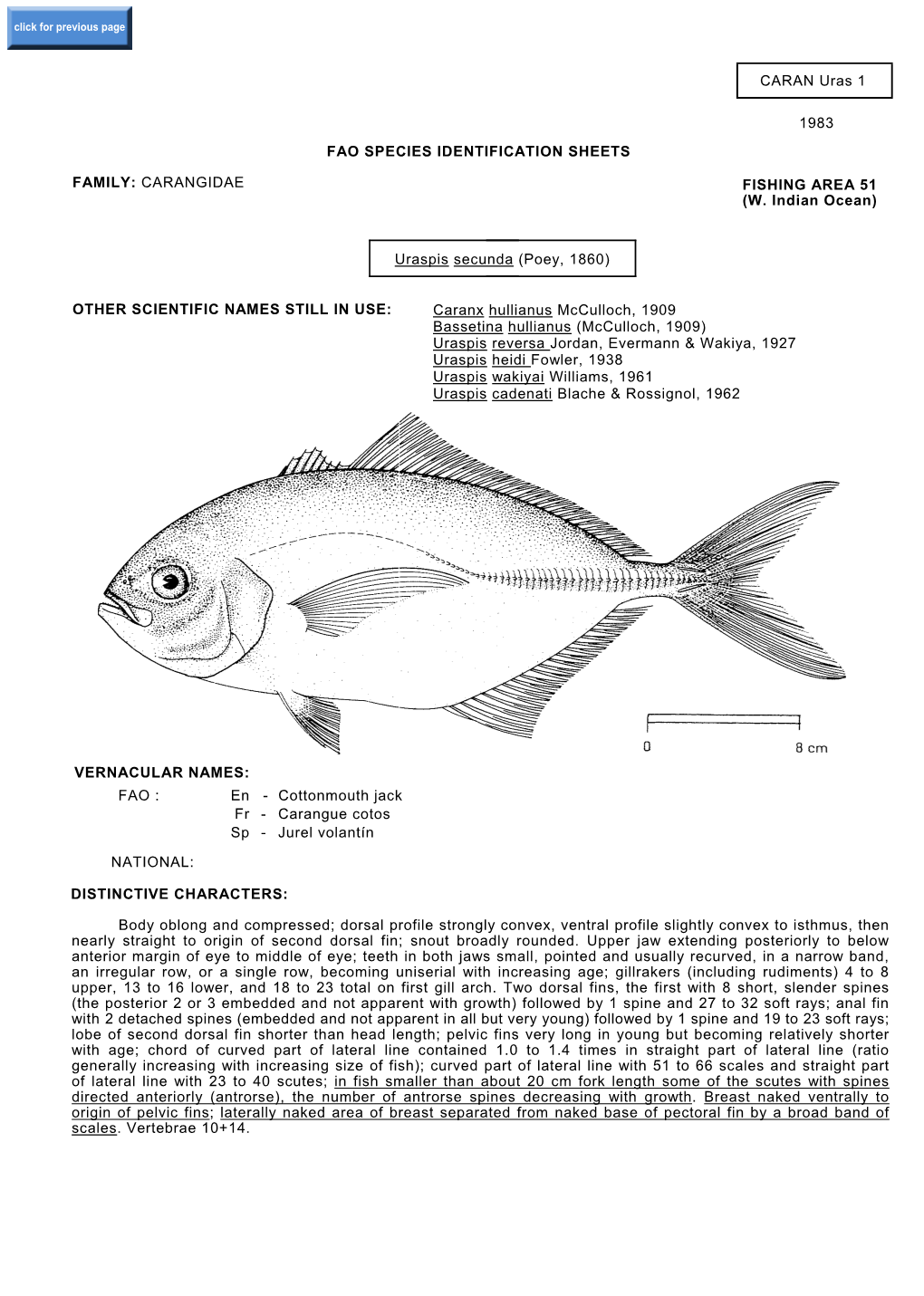CARAN Uras 1 1983 FAO SPECIES IDENTIFICATION SHEETS FAMILY: CARANGIDAE FISHING AREA 51 (W. Indian Ocean) Uraspis Secunda (Poey