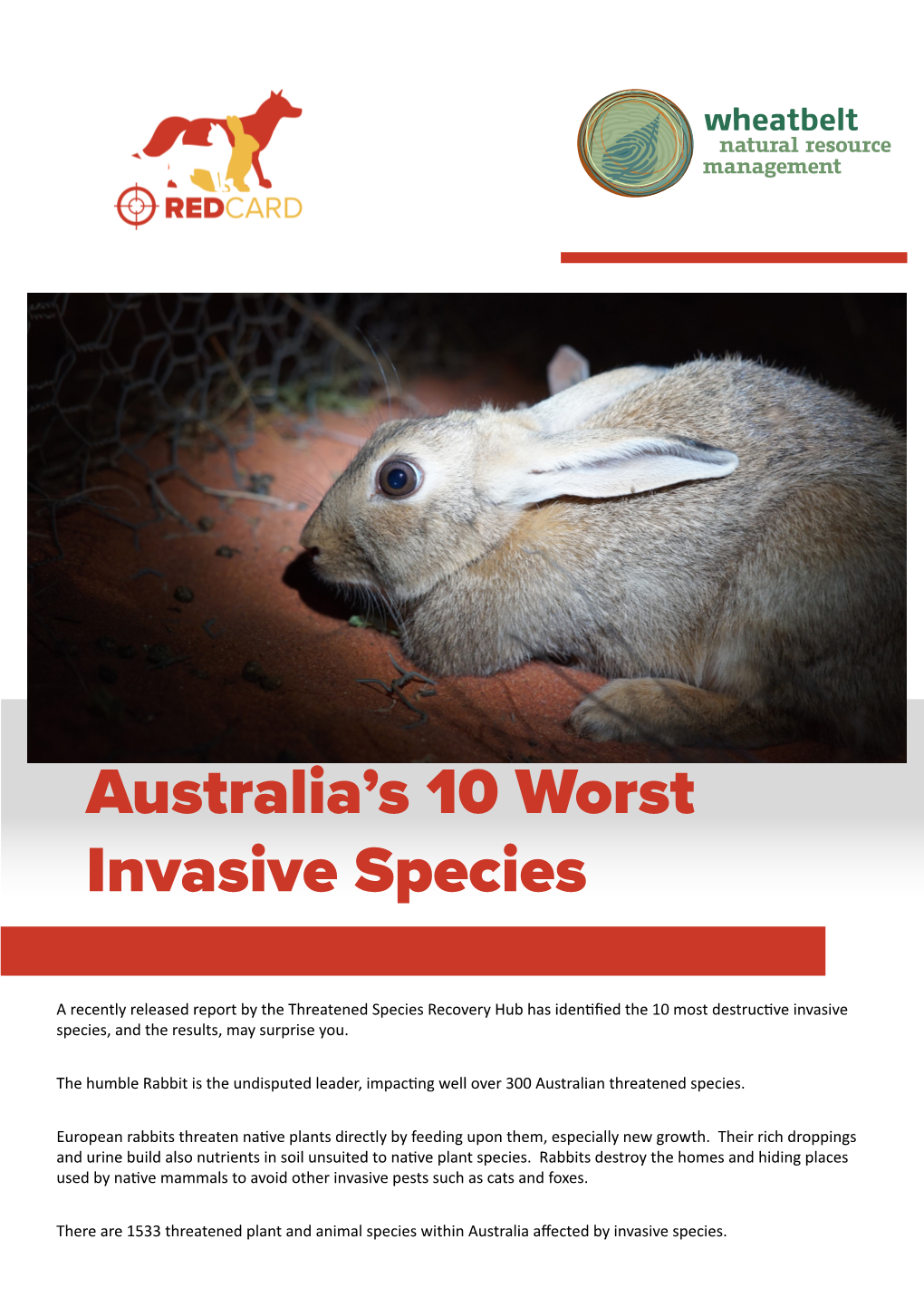 Australia's 10 Worst Invasive Species