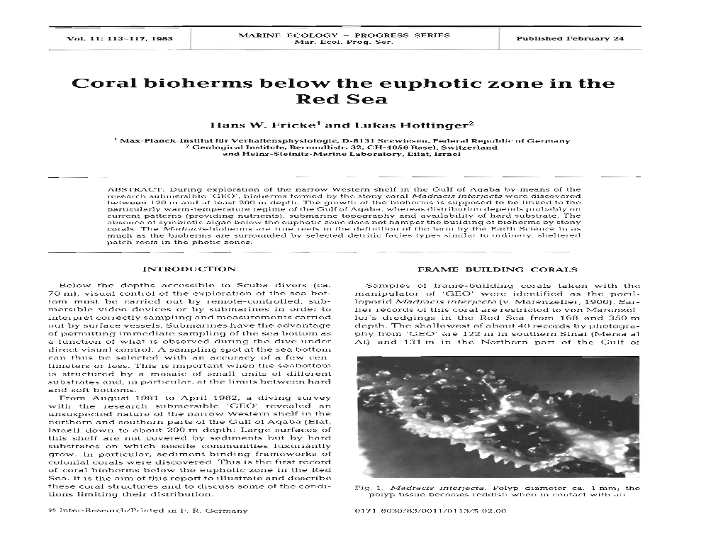 Coral Bioherms Below the Euphotic Zone in the Red Sea