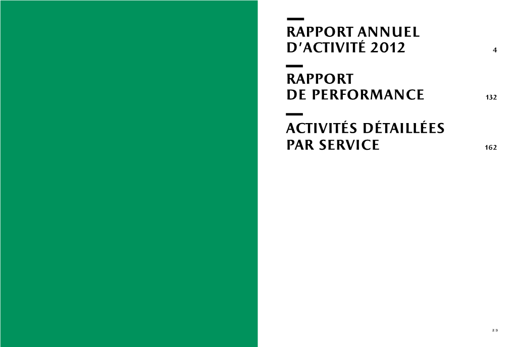 Rapport Annuel D'activité 2012 4