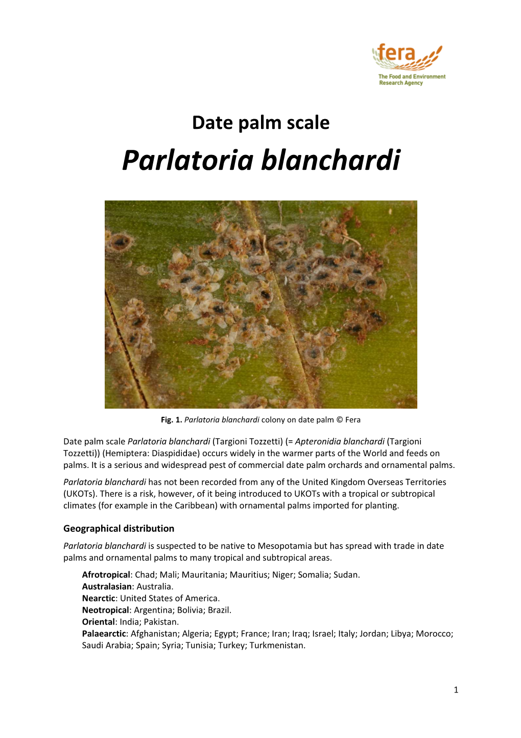 Parlatoria Blanchardi Datasheet V1 16062014