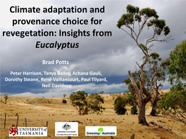 Climate Adaptation and Provenance Choice for Revegetation: Insights from Eucalyptus