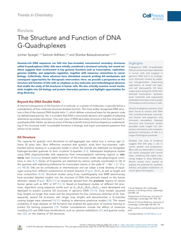 The Structure and Function of DNA G-Quadruplexes