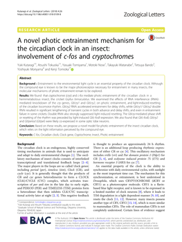 A Novel Photic Entrainment Mechanism for the Circadian Clock