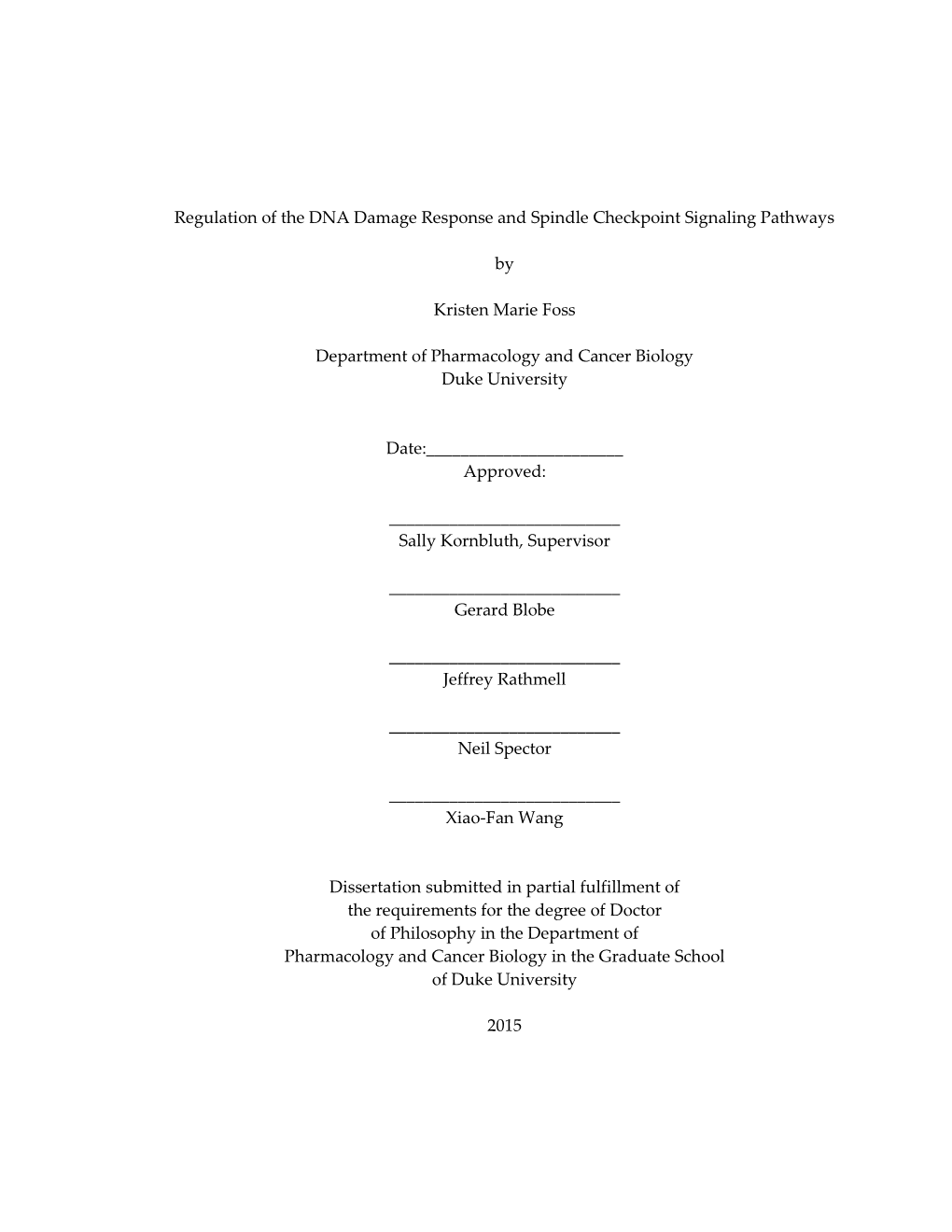 3. Cyclin F and the DNA Damage Response