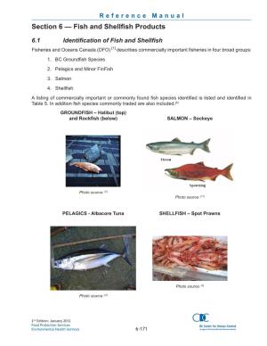 Section 6 — Fish and Shellfish Products