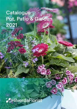 Catalogue Pot, Patio & Garden 2021