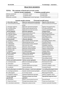 PRACTICE SESSIONS ТЕМА: the Anatomy of Head and Cervical