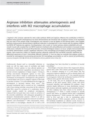 Arginase Inhibition Attenuates Arteriogenesis and Interferes With
