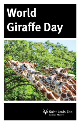 World Giraffe Day Happy World Giraffe Day!