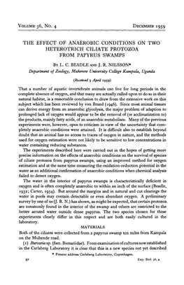 The Effect of Anaerobic Conditions on Two Heterotrich Ciliate Protozoa from Papyrus Swamps by L