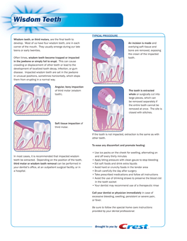 Wisdom Teethteeth