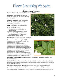 Rosa Canina Linnaeus Common Names: Dog Rose, Dog Brier, Wild Rose (5,6,13)