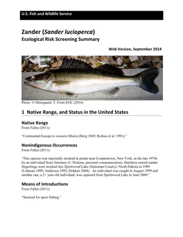Zander (Sander Lucioperca) Ecological Risk Screening Summary