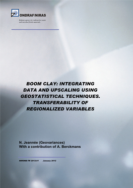 Boom Clay: Integrating Data and Upscaling Using Geostatistical Techniques