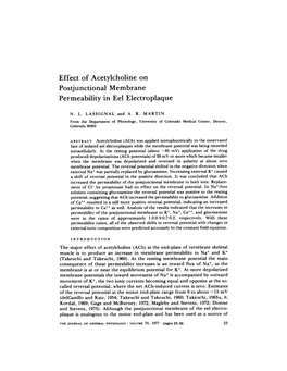 Effect of Acetylcholine on Postjunctional Membrane Permeability in Eel Electroplaque