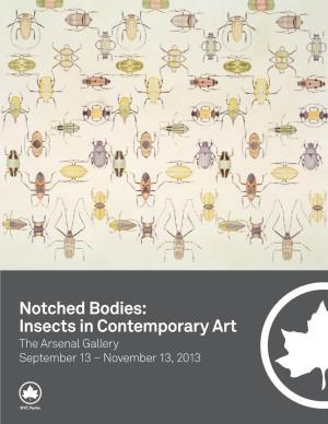 Notched Bodies: Insects in Contemporary