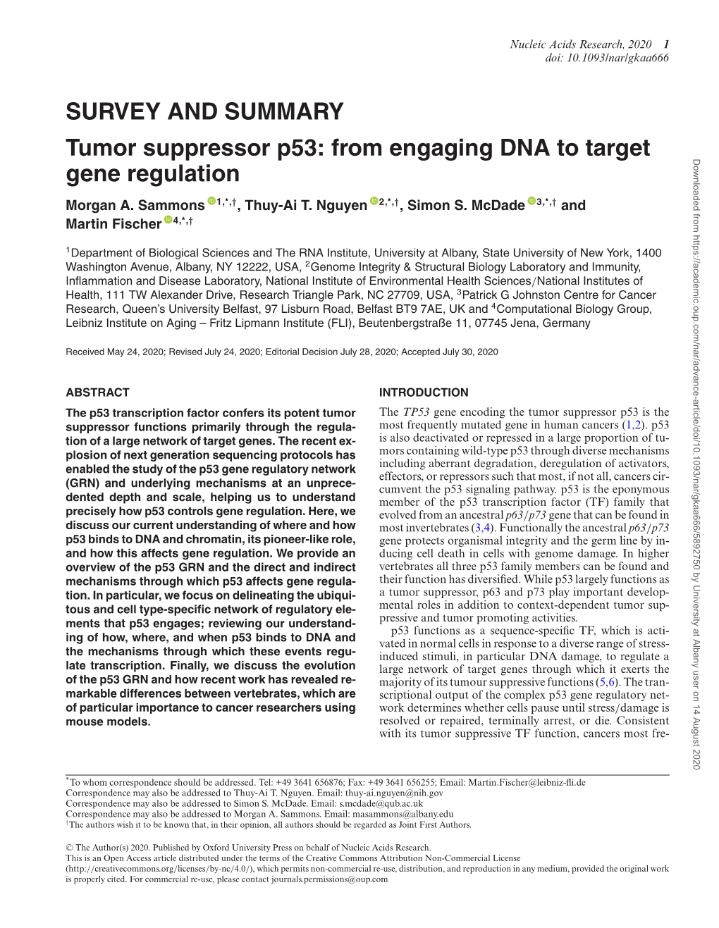 From Engaging DNA to Target Gene Regulation