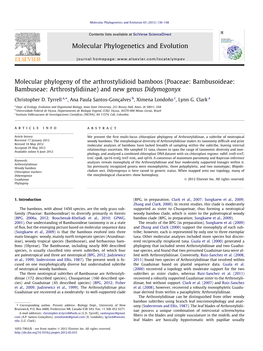 Molecular Phylogeny of the Arthrostylidioid Bamboos (Poaceae: Bambusoideae: Bambuseae: Arthrostylidiinae) and New Genus Didymogonyx ⇑ Christopher D