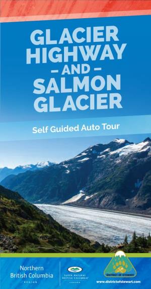 Glacier Highway Salmon Glacier