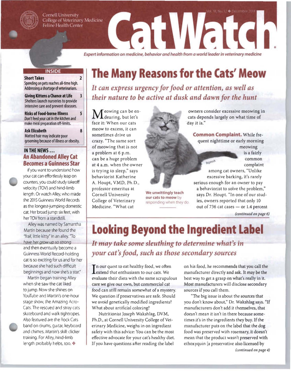 The Many Reasons for the Cats' Meow Looking Beyond the Ingredient Label