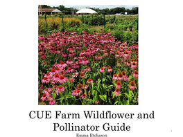 CUE Farm Wildflower and Pollinator Guide