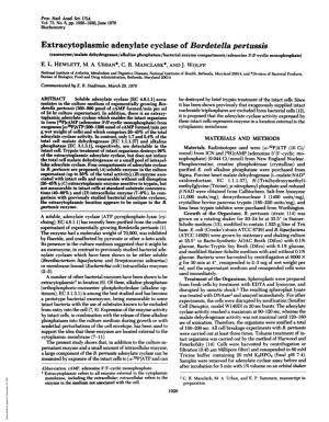 Extracytoplasmic Adenylate Cyclase of Bordetella Pertussis