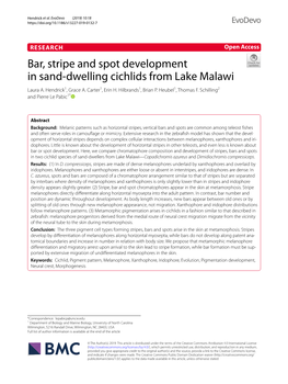 Bar, Stripe and Spot Development in Sand-Dwelling Cichlids from Lake Malawi