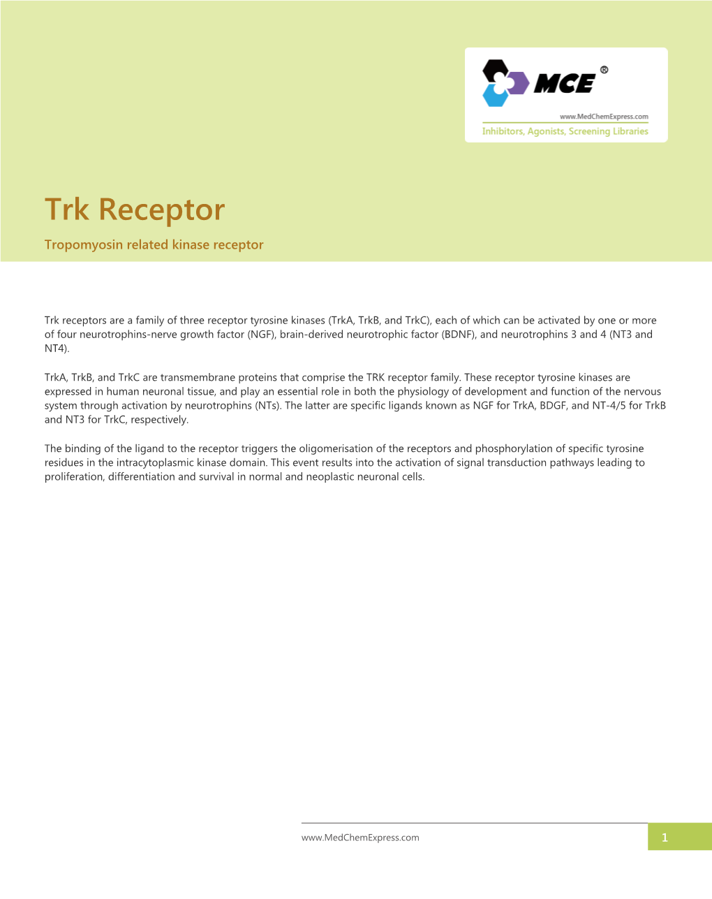 Trk Receptor Tropomyosin Related Kinase Receptor