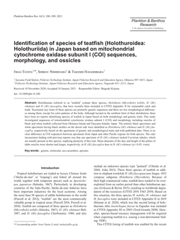 Identification of Species of Teatfish (Holothuroidea: Holothuriida) In