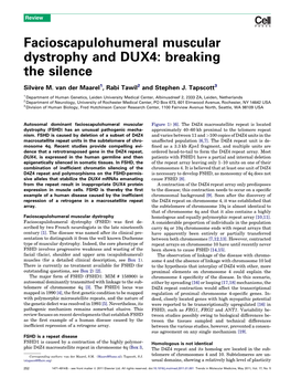 Facioscapulohumeral Muscular Dystrophy and DUX4: Breaking the Silence