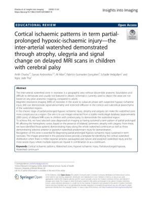 Cortical Ischaemic Patterns in Term Partial-Prolonged Hypoxic