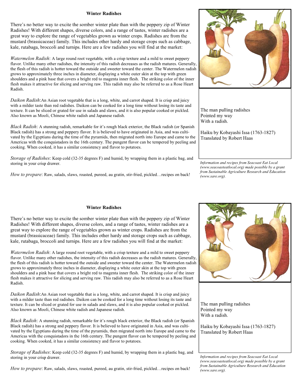 Radish Recipe Card