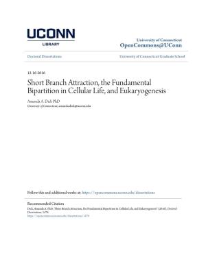 Short Branch Attraction, the Fundamental Bipartition in Cellular Life, and Eukaryogenesis Amanda A