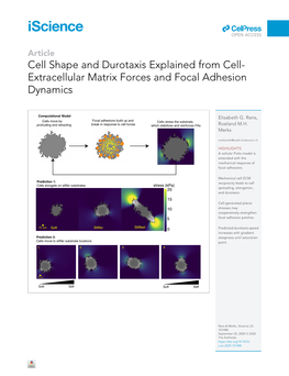 Cell Shape and Durotaxis Explained from Cell-Extracellular Matrix Forces and Focal Adhesion Dynamics