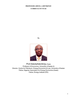 Prof.Adeolaadenikinju, Fnaee